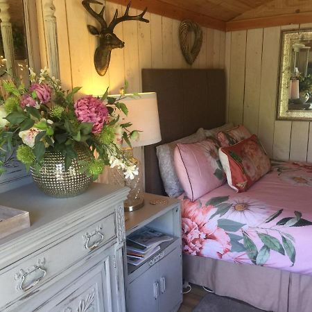 Y Cwt Bach Hotell Cardiff Eksteriør bilde