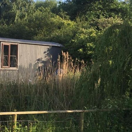 Y Cwt Bach Hotell Cardiff Eksteriør bilde