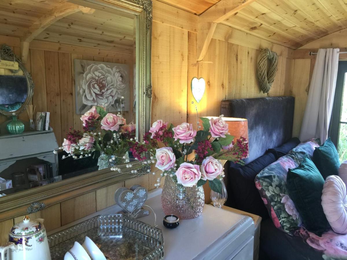 Y Cwt Bach Hotell Cardiff Eksteriør bilde