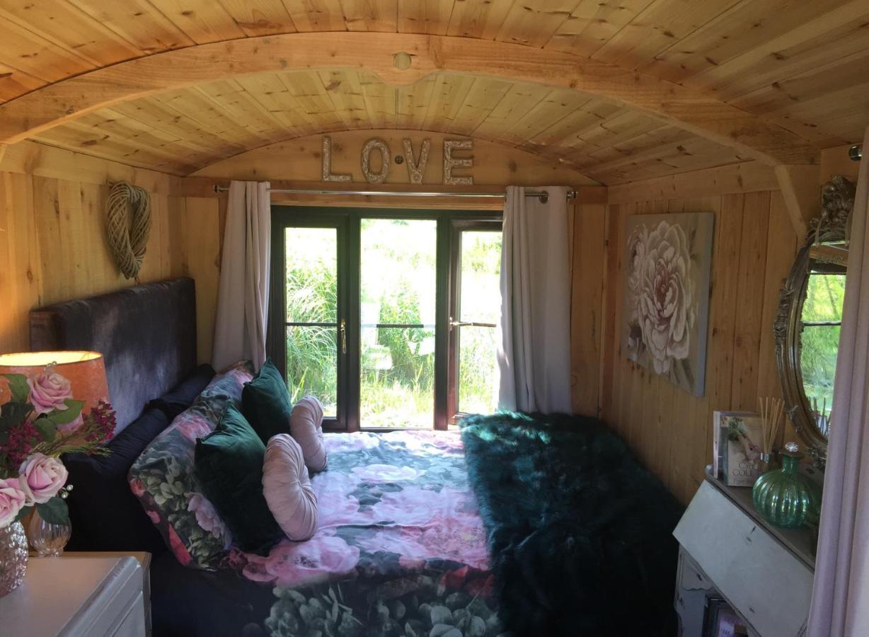 Y Cwt Bach Hotell Cardiff Eksteriør bilde