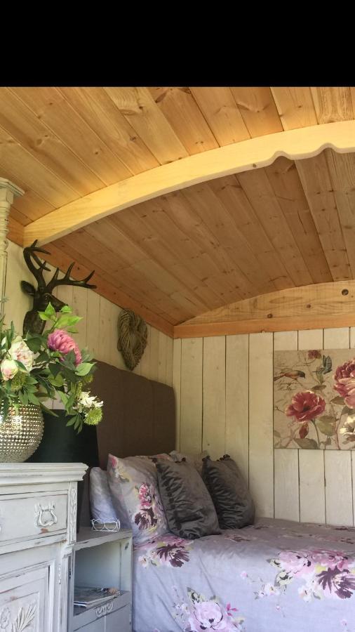 Y Cwt Bach Hotell Cardiff Eksteriør bilde