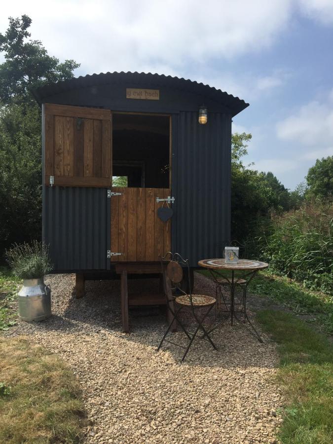 Y Cwt Bach Hotell Cardiff Eksteriør bilde