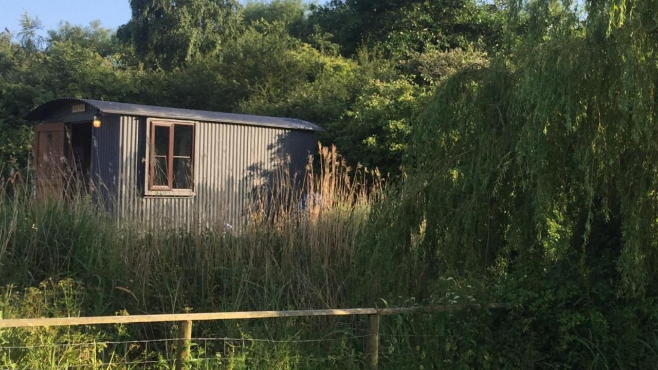 Y Cwt Bach Hotell Cardiff Eksteriør bilde