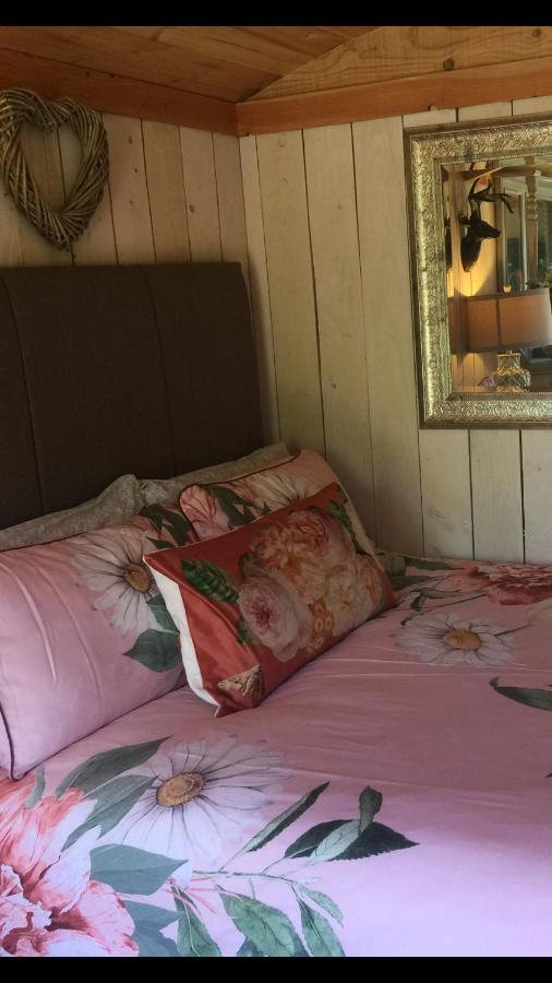 Y Cwt Bach Hotell Cardiff Eksteriør bilde