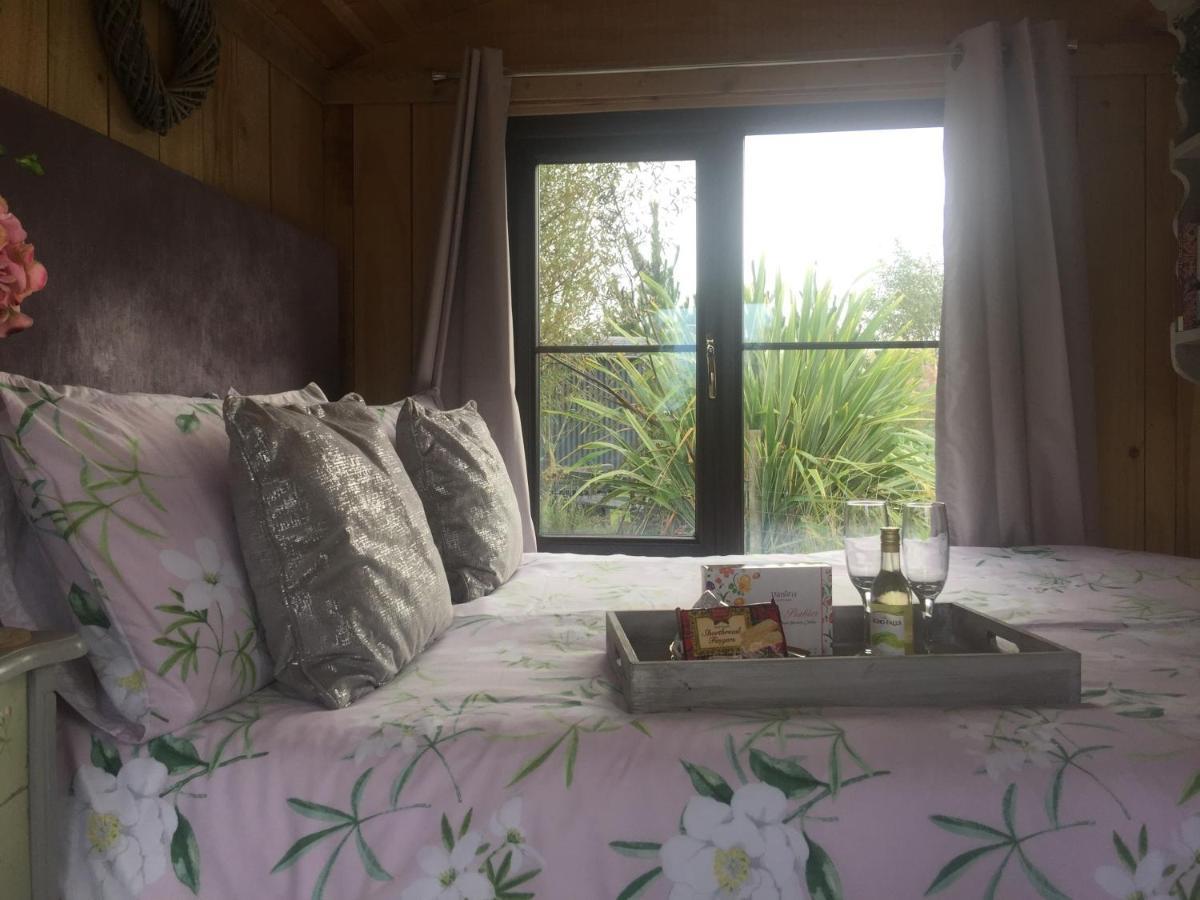 Y Cwt Bach Hotell Cardiff Eksteriør bilde