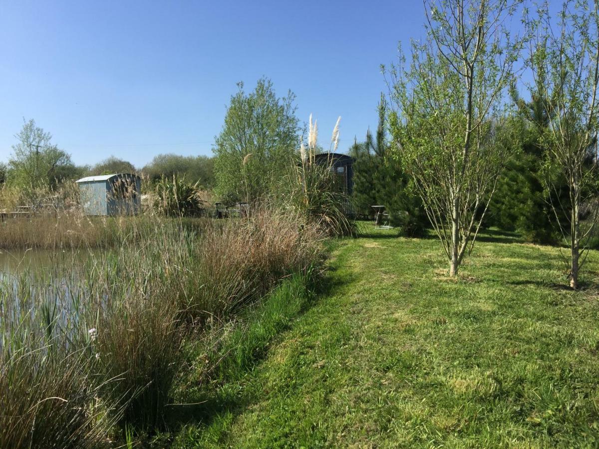 Y Cwt Bach Hotell Cardiff Eksteriør bilde