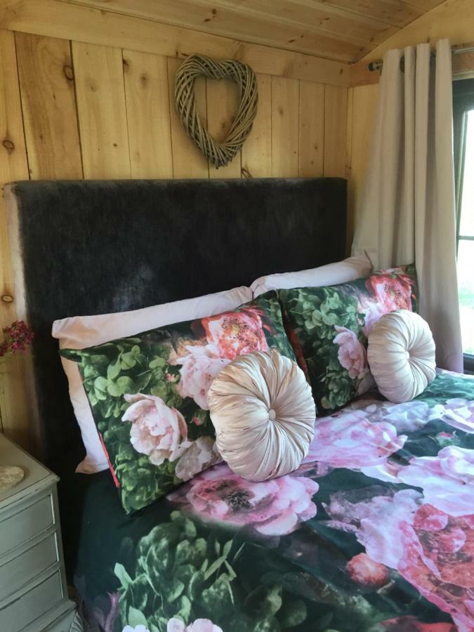 Y Cwt Bach Hotell Cardiff Eksteriør bilde