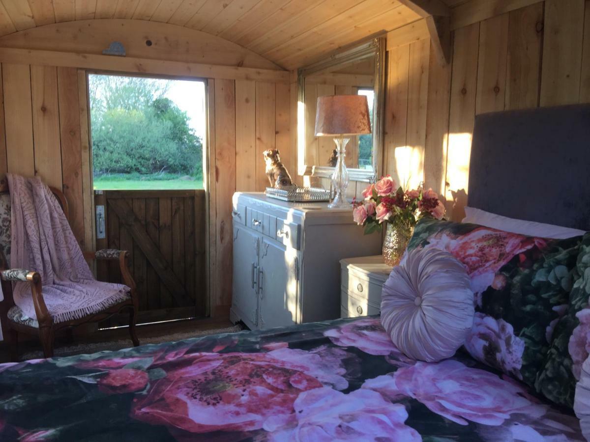 Y Cwt Bach Hotell Cardiff Eksteriør bilde