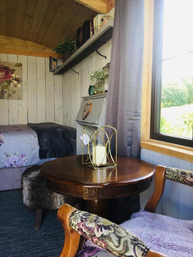 Y Cwt Bach Hotell Cardiff Eksteriør bilde
