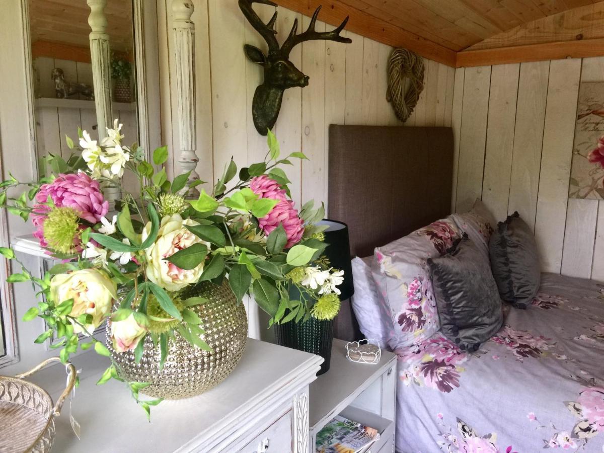 Y Cwt Bach Hotell Cardiff Eksteriør bilde